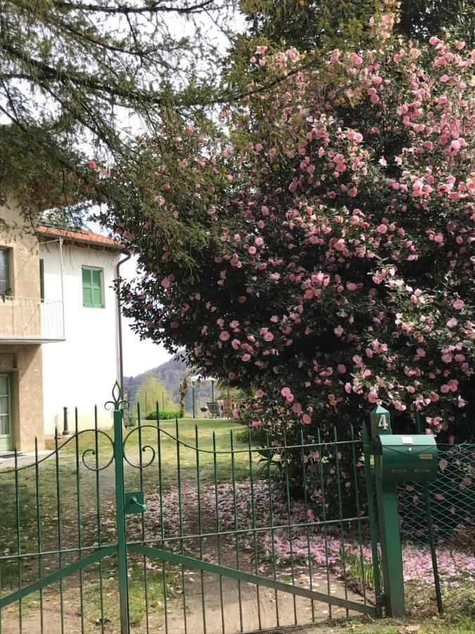 Appartamento La Camelia 阿米诺 外观 照片