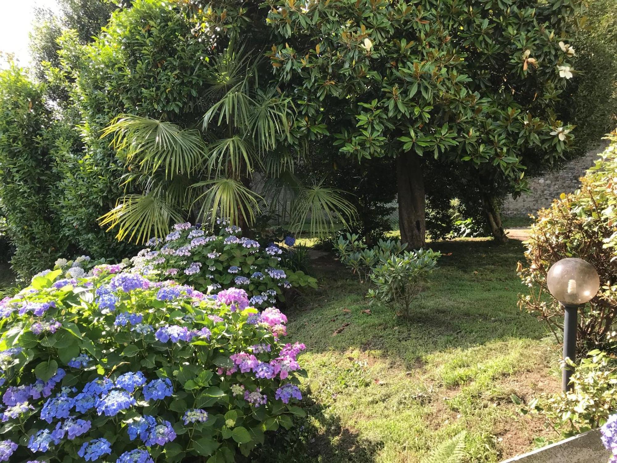 Appartamento La Camelia 阿米诺 外观 照片