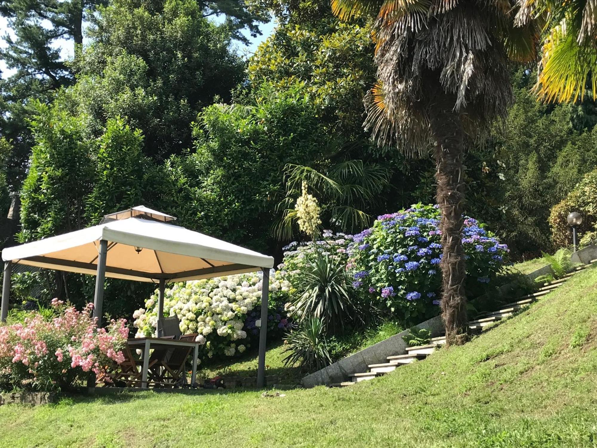 Appartamento La Camelia 阿米诺 外观 照片